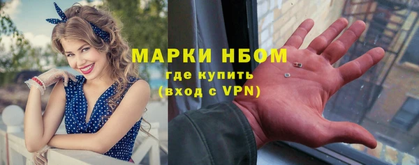 гашик Дедовск