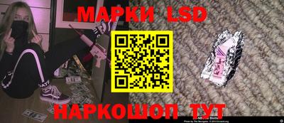 индика Боровичи