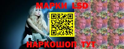 гидра Брянск