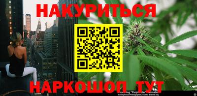 гидра Брянск