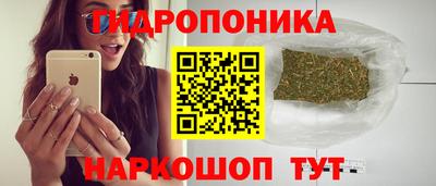 гидра Брянск