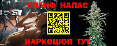 гидра Брянск