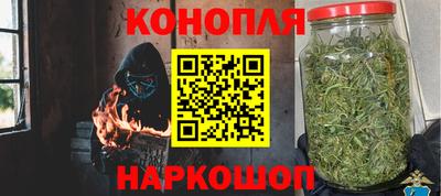 гидра Брянск