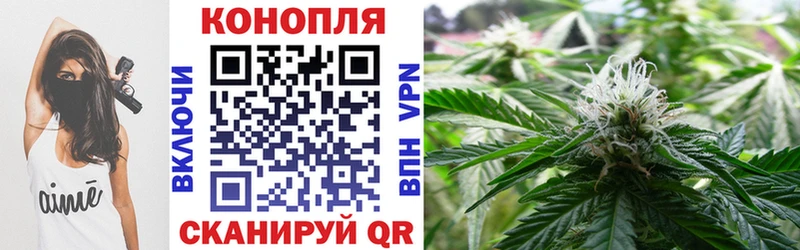 Конопля марихуана  где купить наркоту  Канск 